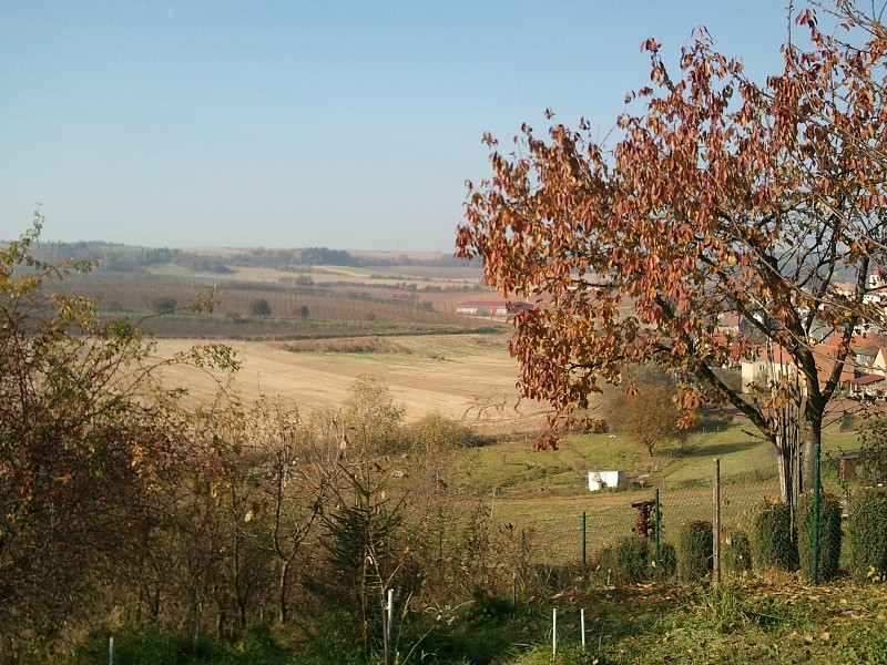 2010-10-30 12.32.18
