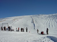 DSC01653