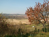 2010-10-30 12.32.18